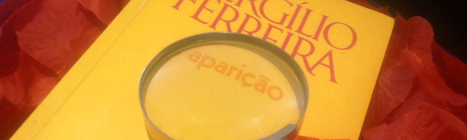 Copy of the novel “Aparição” by vergílio Ferreira laying on red rose petals and with a magnifying lens on top.