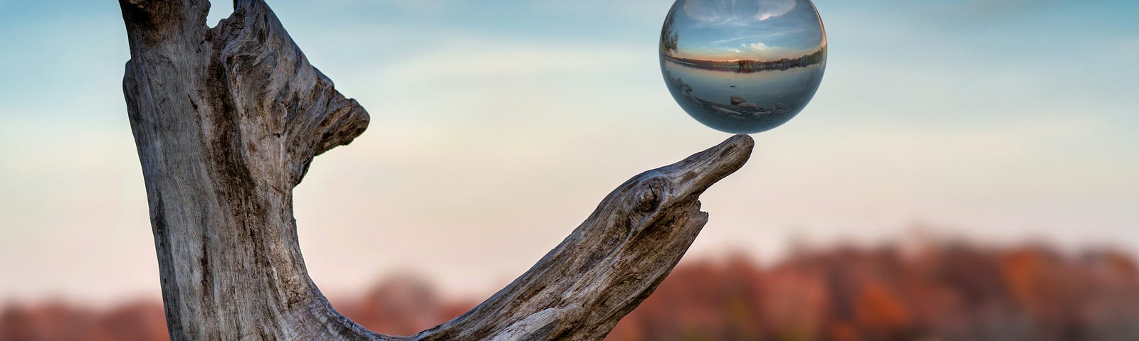 Crystal ball balancing on branch