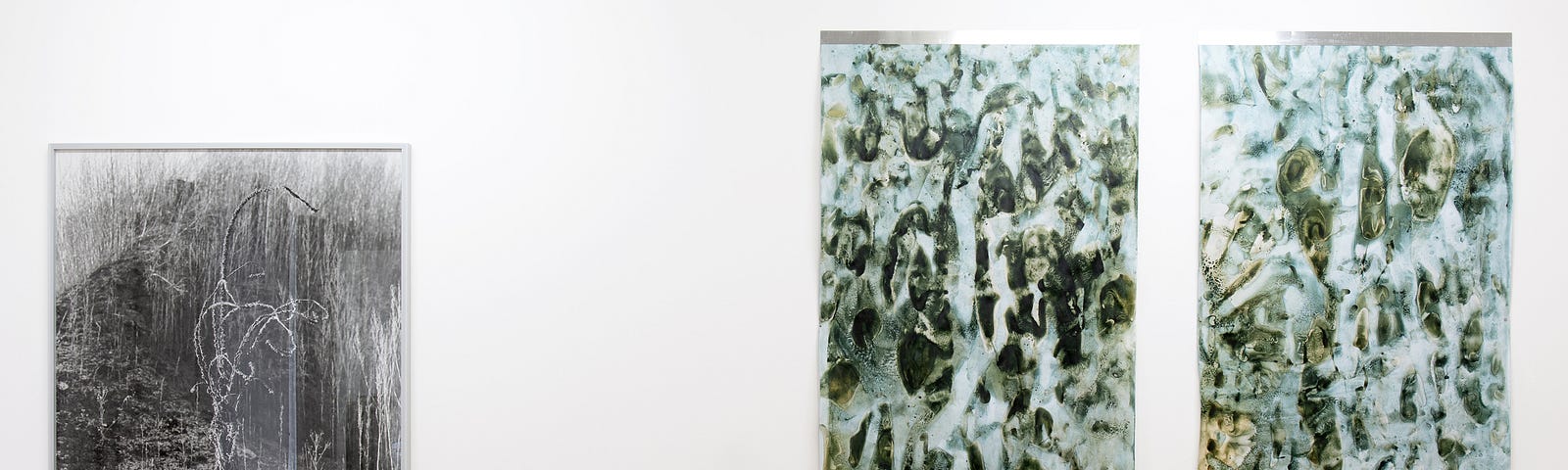 View of the exhibition Lukas Hoffmann | Matheline Marmy at Photoforum Pasquart in 2019