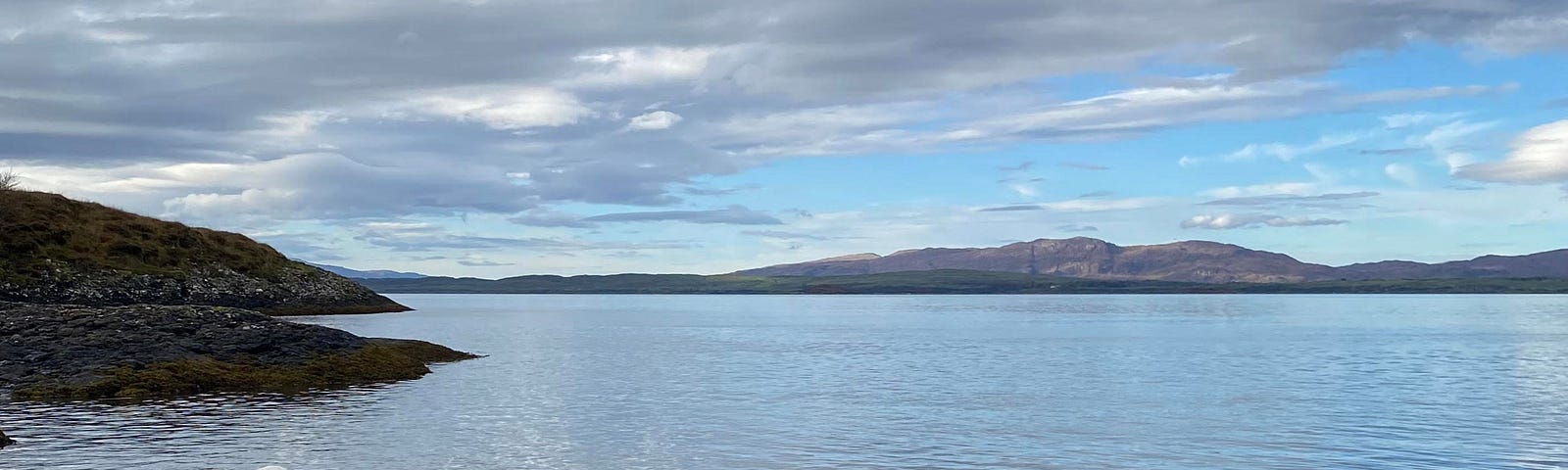 A dog playing in the water with hills in the distance