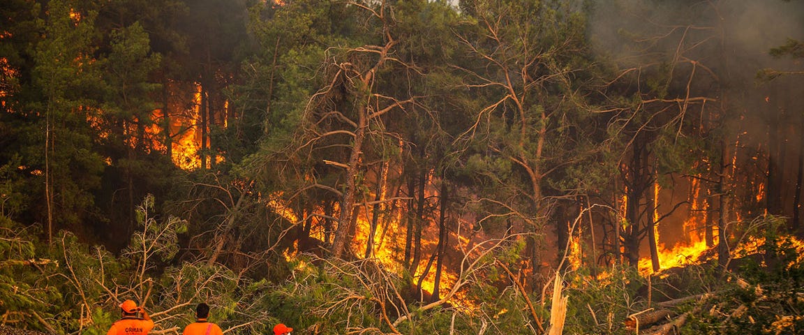 Forest fires in Turkey, August 2021