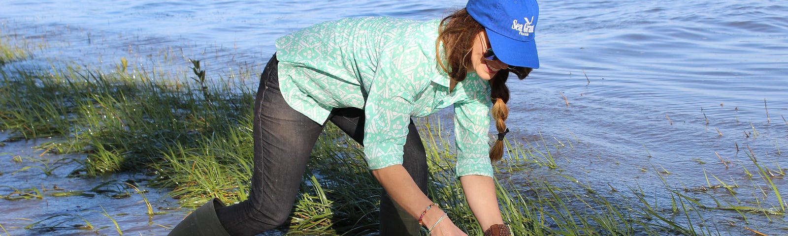 A woman participates in a citizen science project to collect data about horseshoe crab populations in Cedar Key, Florida. Photo by Florida Sea Grant