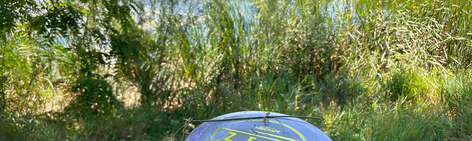 A frisbee held up with a pond and grass in the background