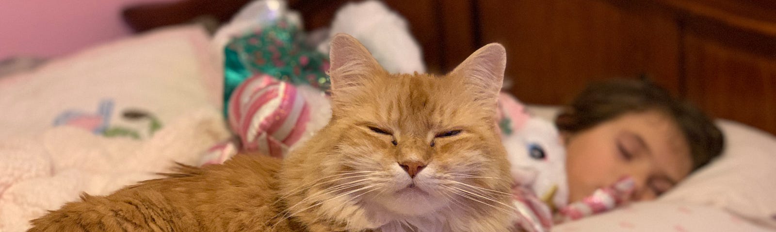 Orange tabby cat beside child asleep in bed