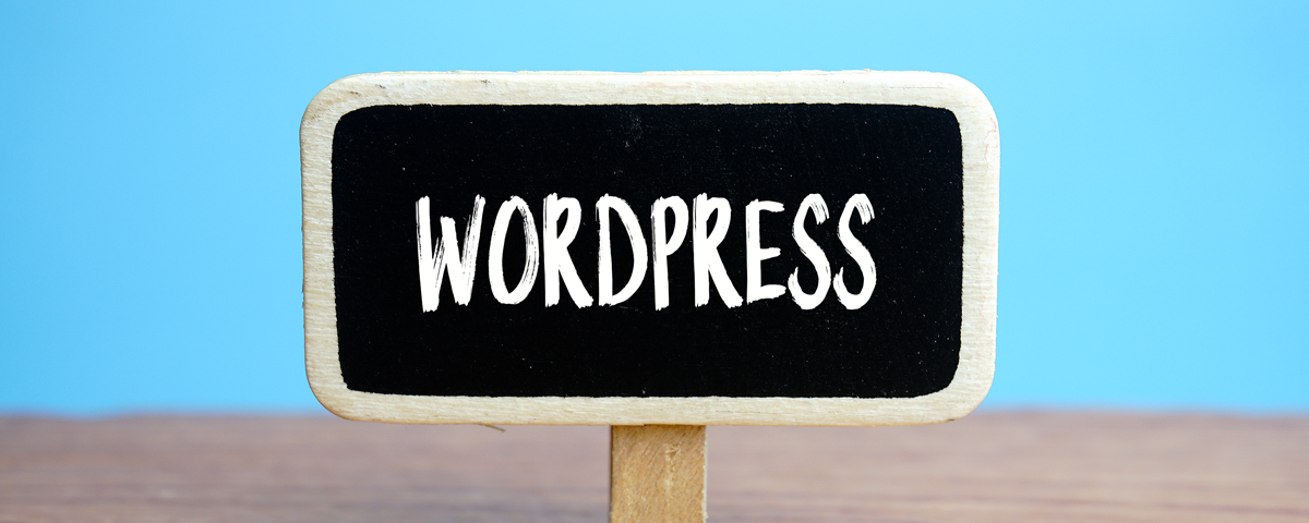 Why You Should Use WordPress for Your Startup