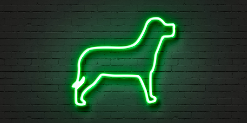 Neon sign of a dog — I Ranked a 2-Week Old Website for a Big Keyword in < 14 Days