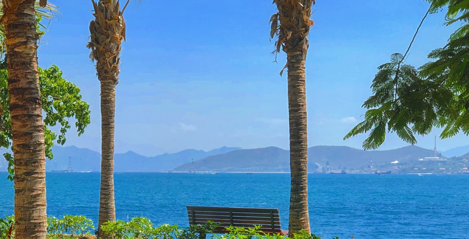 An empty bench seat overlooking an incredibly calm, blue sea with a mountain range beyond. Palm trees in the foreground.