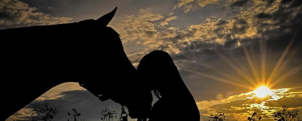 Horse and woman touching faces in silhouette against the glorious rays of a setting sun.