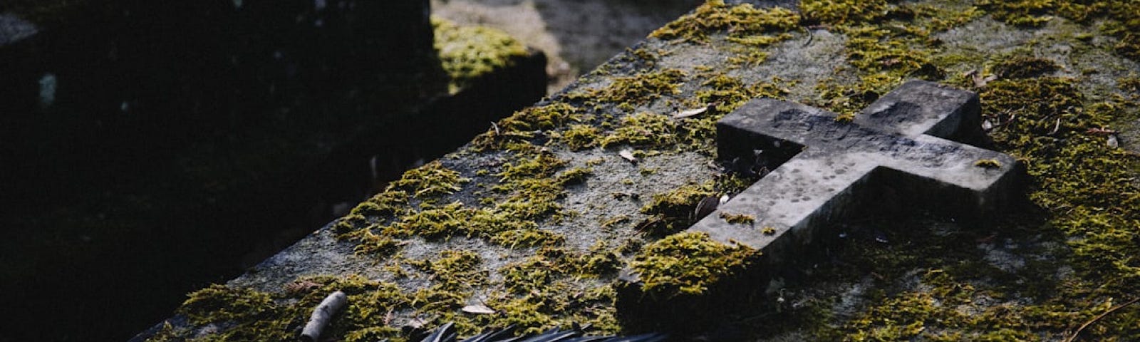 A weathered gravestone covered with patches of moss symbolizes the passage of time and the weight of history. Atop the stone is a Christian cross. Besides it, dark feathers evoke fragility and resilience. The scene invites reflection on mortality, memory, and enduring the impact left behind.