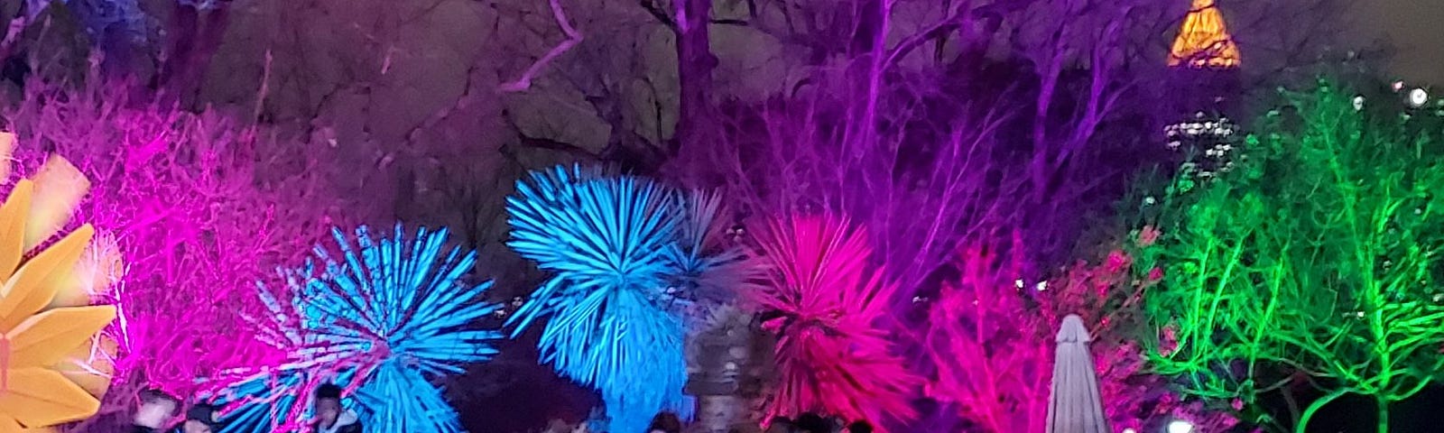 photo of families with bright colored trees near water feature