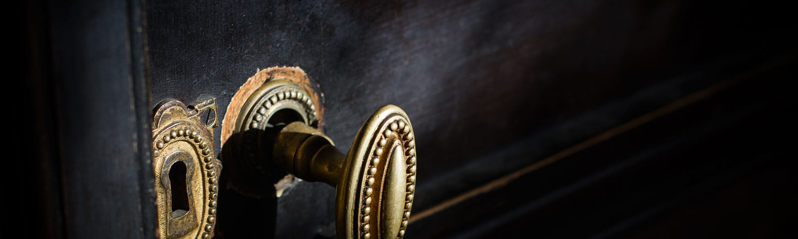 A secret handle rests silently in a black and mysterious door.