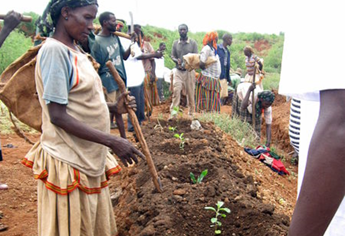 File: Trees planting in Konso.jpg Description English: Trees planting during the World Environment Day 2012 in Konso — Ethiopia. Source Flickr Author Trees For The Future This file is licensed under the Creative Commons Attribution 2.0 Generic license. CC BY 2.0 Deed | Attribution 2.0 Generic | Creative Commons File: Trees planting in Konso.jpg — Wikimedia Commons