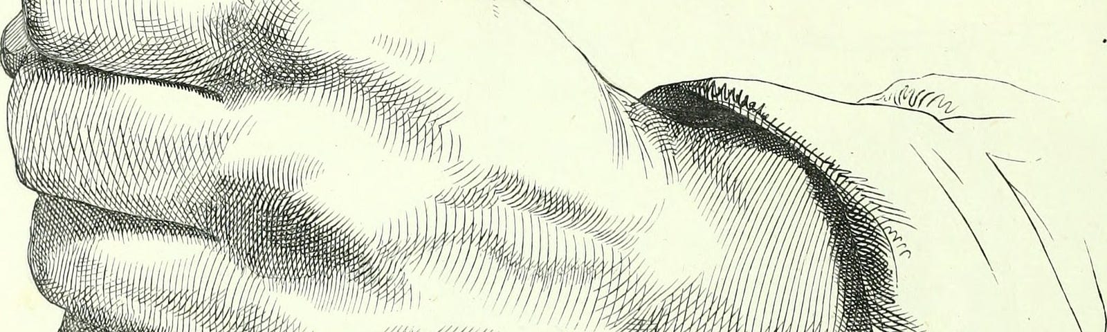 Illustration  of a fist.