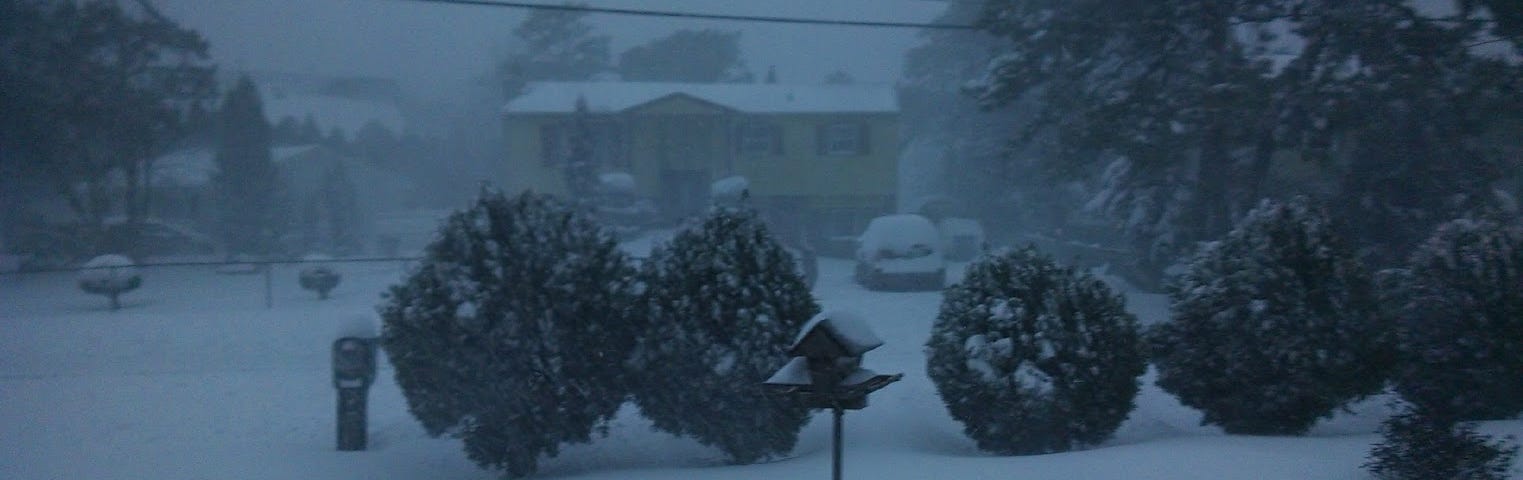A picture of our front yard during a snowstorm in January, 2016