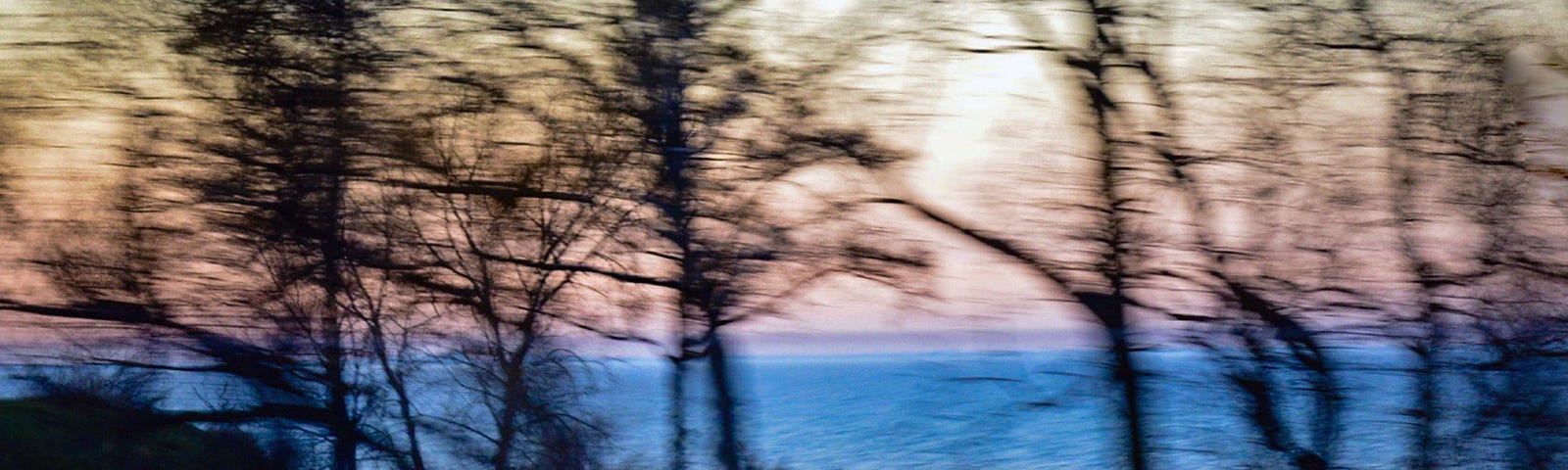 motion blur,  sunset landscape through bare tree branches | © pockett dessert