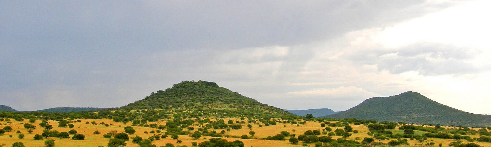 An image of upland savannah near Pietermaritzburg in KwaZula-Natal, South Africa.