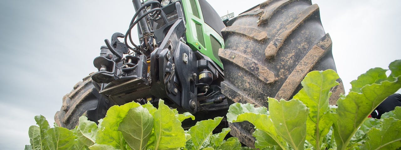IMAGE: A tractor from the perspective of the crops