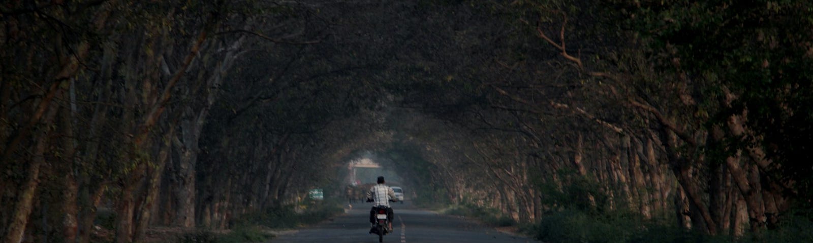 Rider on a motorcycle, no helmet, a straight road, trees making a tunnel overhead, light at the end