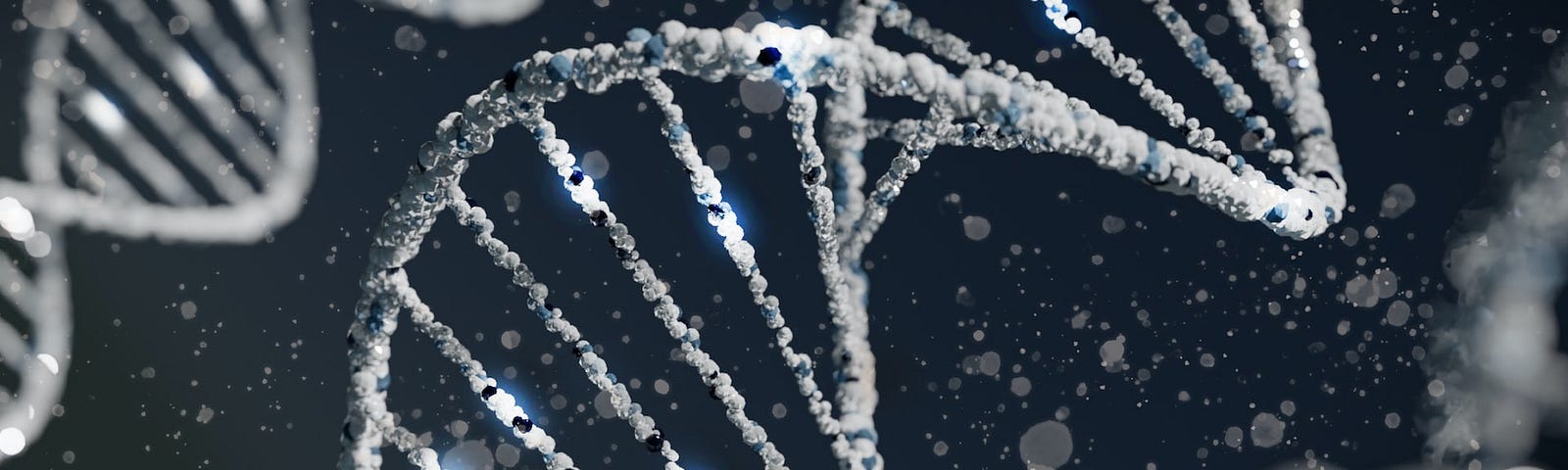 IMAGE: An image of the DNA double helix