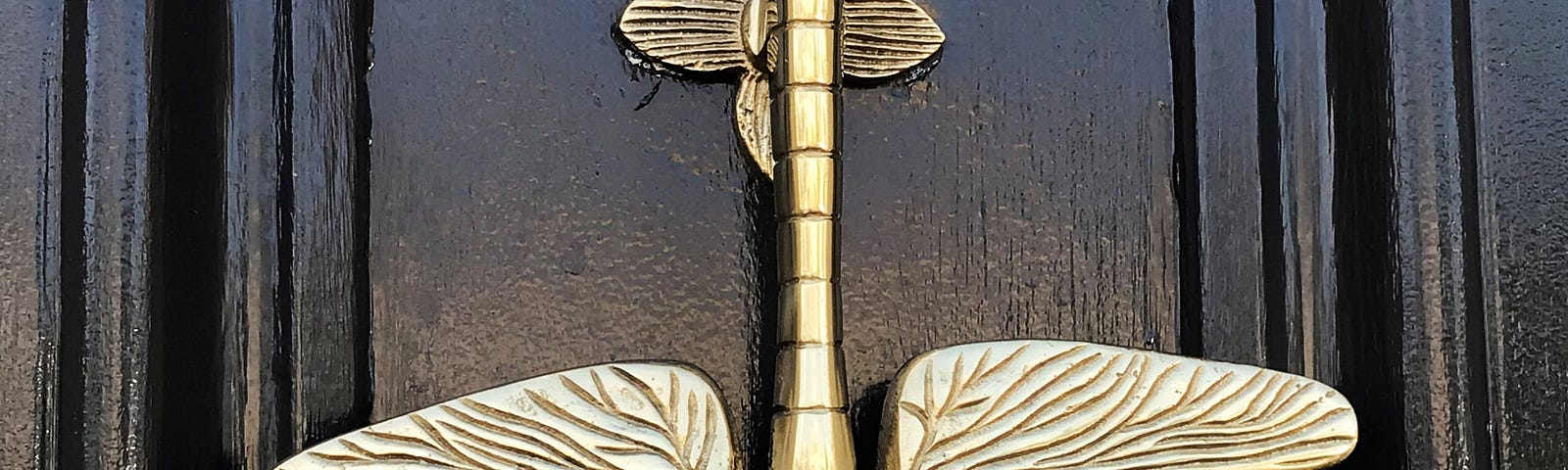 Dragonfly door knocker