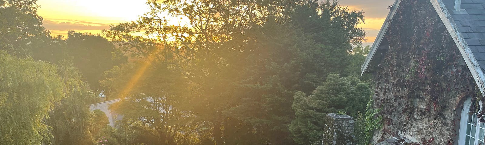 A sunrise in Wales, with rays peeking through a tree and hitting a beautiful garden below.