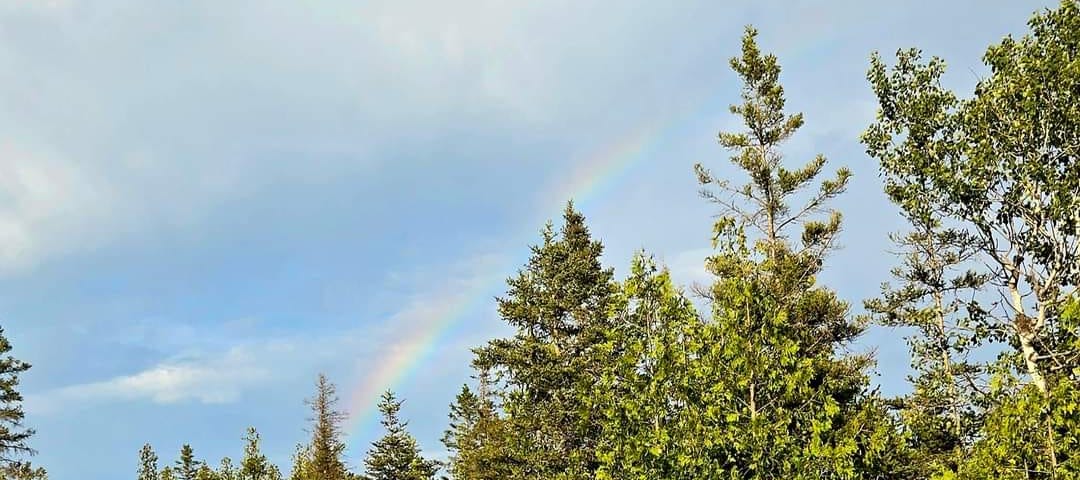 Rainbow over the pine trees on Drummond Island, Michigan