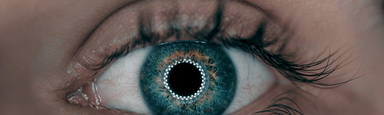 A close up of a blue, uncanny looking eye