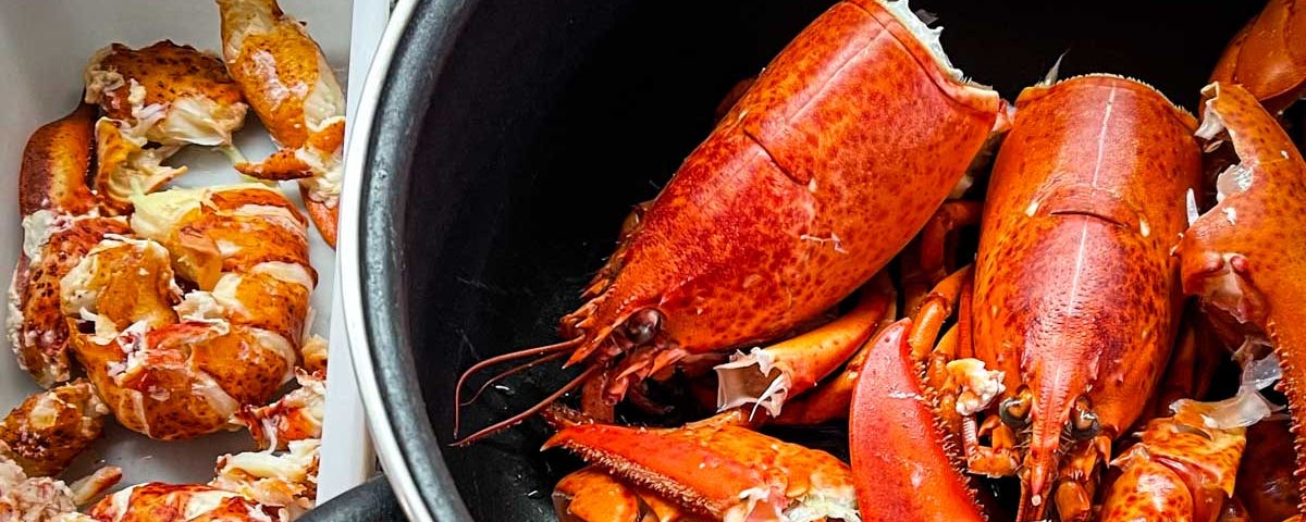 A photo of Lobster preparation — Shelled lobster in a container beside a saucepan containing lobster shells for making boullion