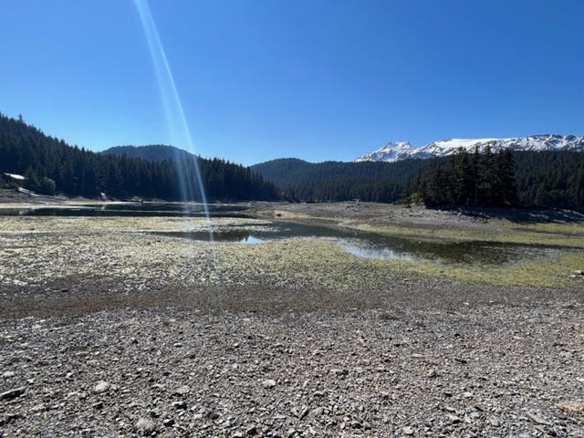 Muddy beach with green algae. Mountain with snow in the background.