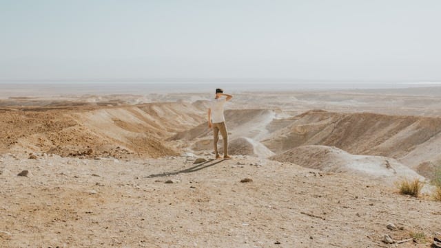 Man looking at desert.