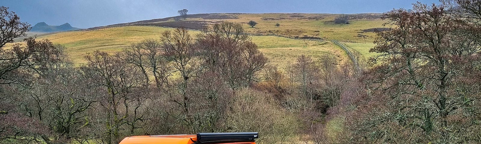 orange T5.1 Volkswagen campervan in the foreground with trees and a hill in the background