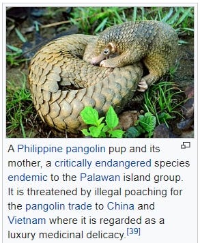 Pangolin once thought to be the starter of coronavisus. Matched at 98%. Then restested at 90%. Don’t jump to conclusion