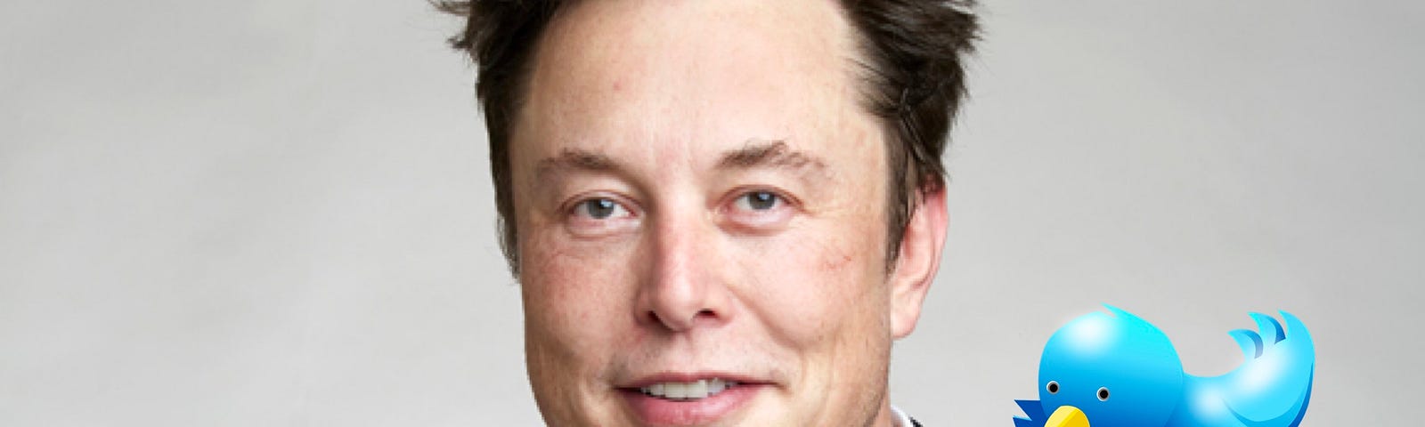 IMAGE: A picture of Elon Musk with the Twitter blue bird on his shoulder