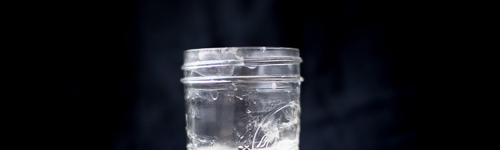 Sourdough starter from the Rob Dunn Lab at North Carolina State University