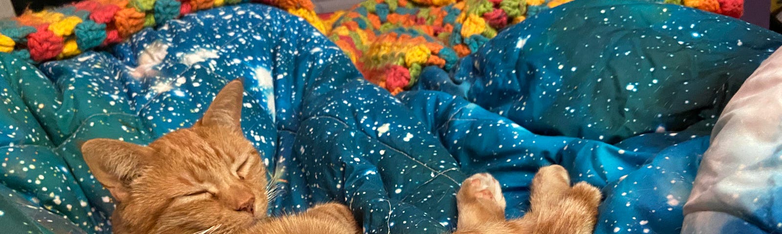Grandkitty orange tabby Bouy sleeping peacefully on a colorful quilt