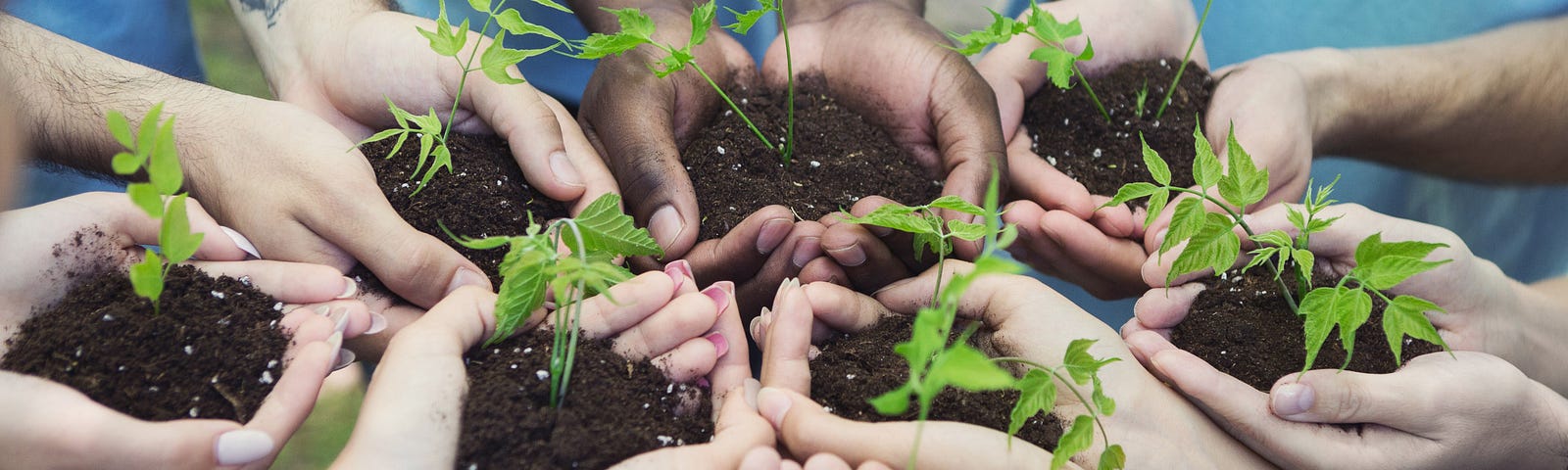 8 pairs of hands held out in a circle, each holding soil and a seedling tree, representing socially responsible businesses