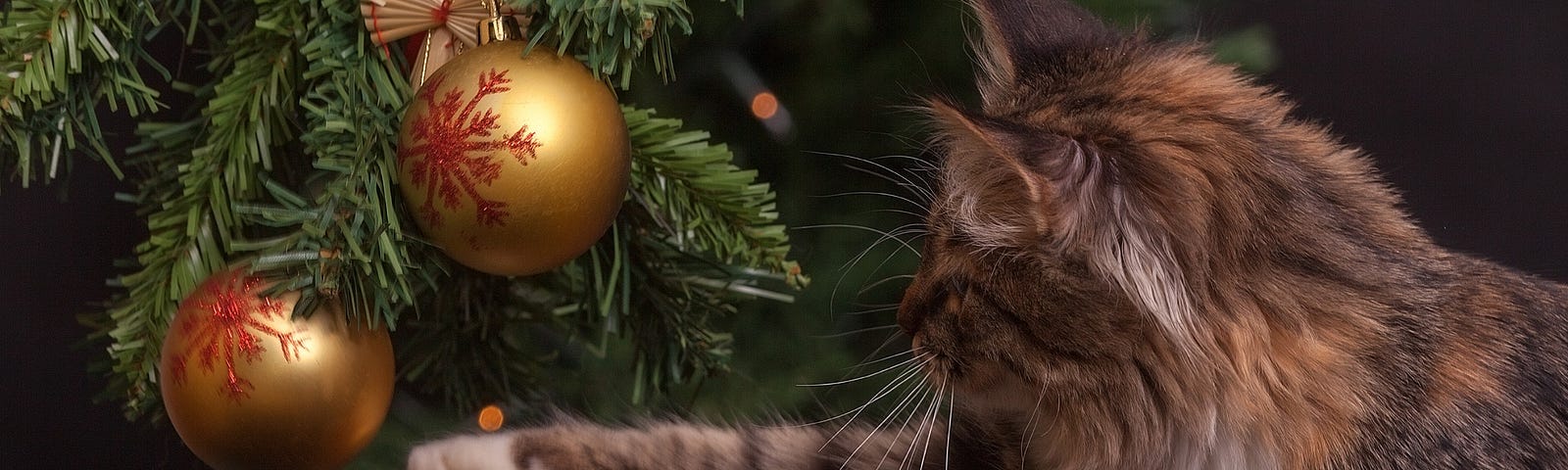 Photo of tabby cat batting a Christmas ornament on a Christmas tree