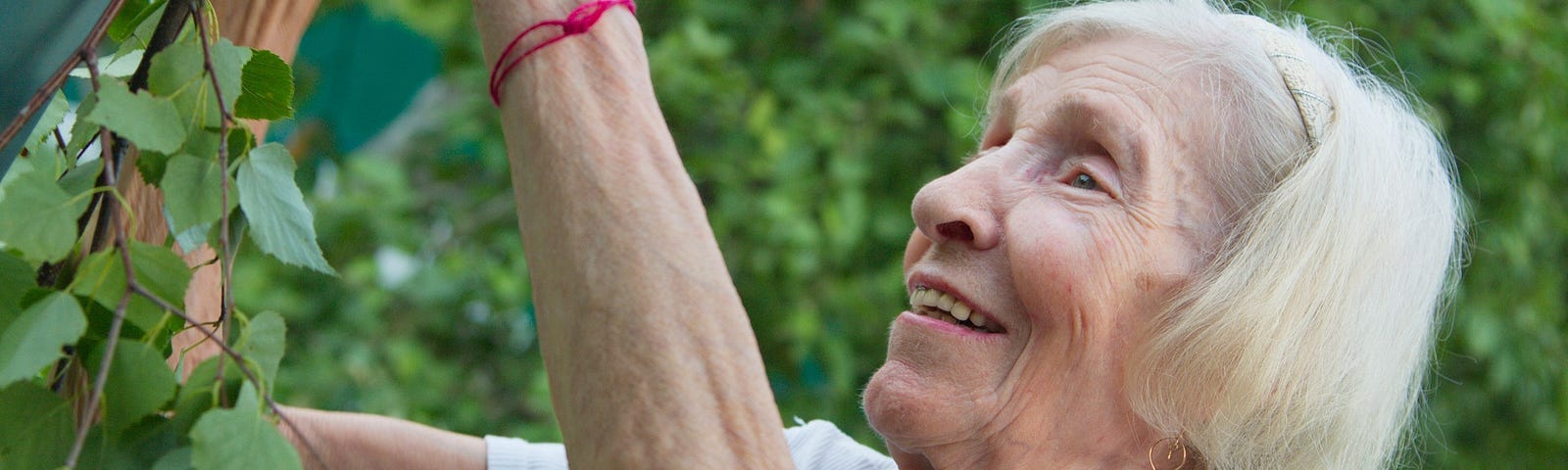 older lady grandma in garden