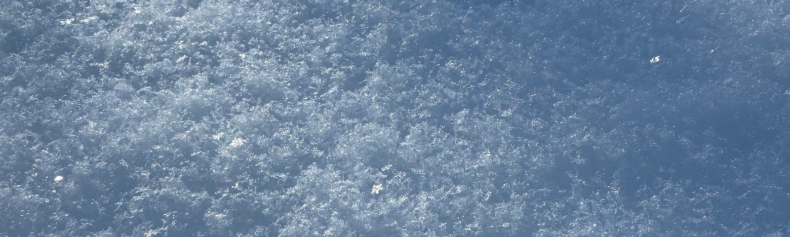 freshly fallen snow crystals