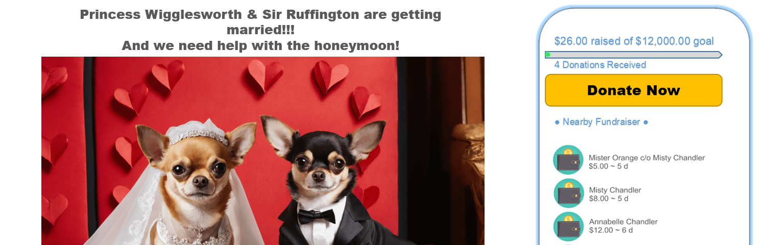 A fake crowdsourcing ad asking for donations for a chihuahua honeymoon