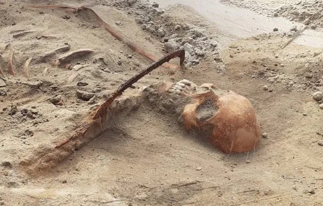 The upper body and head of a skeletonized corpse, from a human grave, with a rusty sickle across the neck. The ribcage is visible at the left of the photograph, with the skull located at center right.