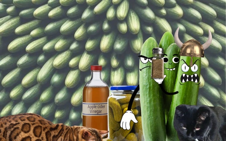 Huge pile of cucumbers taking up most of the room. Cats Maddie and Ka-Thunk are on the table surrounded by pickles. Several large cucumbers with angry faces are threatening Maddie with a pepper shaker.