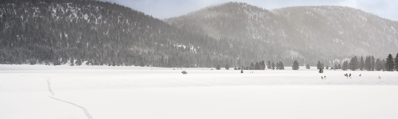 I return on a slightly different path, my snowshoes providing the only marks on the surface after a snowfall in the Sierra Mountains.