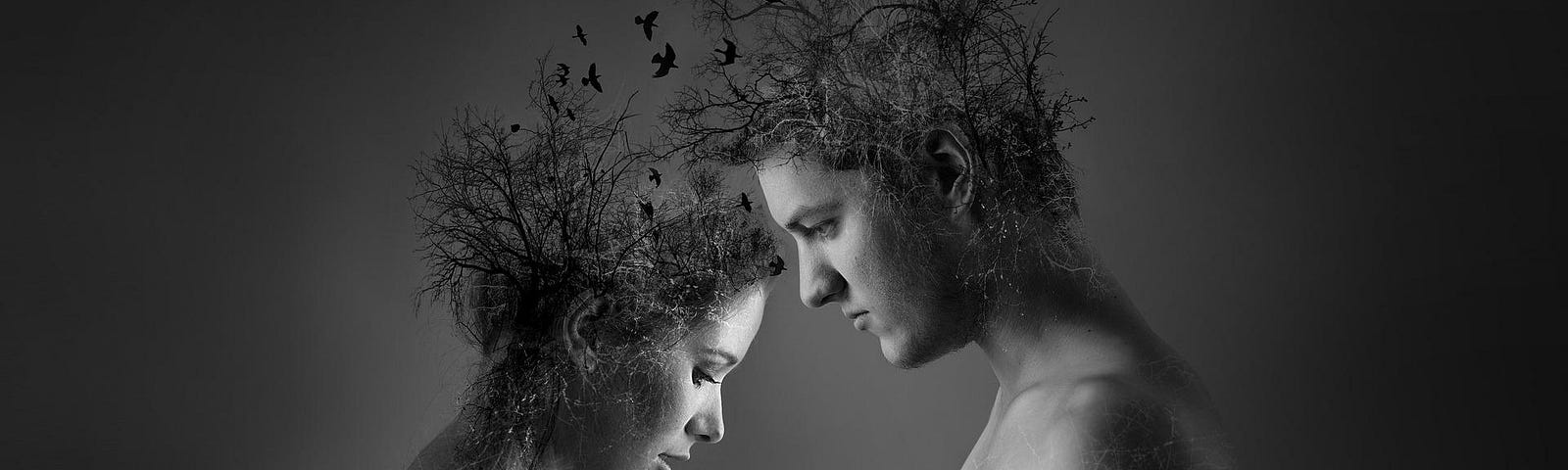 A surreal photograph of a man and a woman, two lovers. The tops of their heads are morphed into woodlands and crows are flying between them like thoughts passing between two minds.