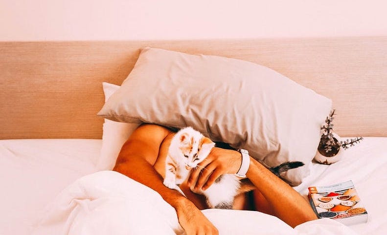 Person asleep under a pillow with a cat in the arms