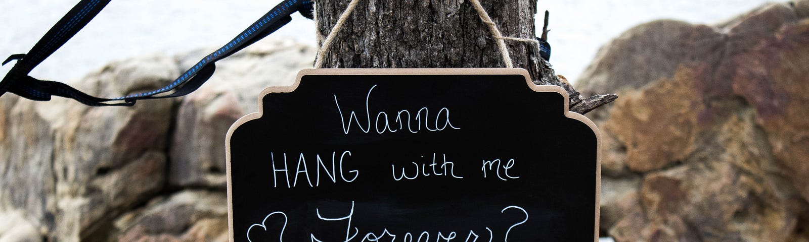 Sign saying “Want to hang with me forever” as a word play on breasts. Breasts. Bras. Women’s Health.