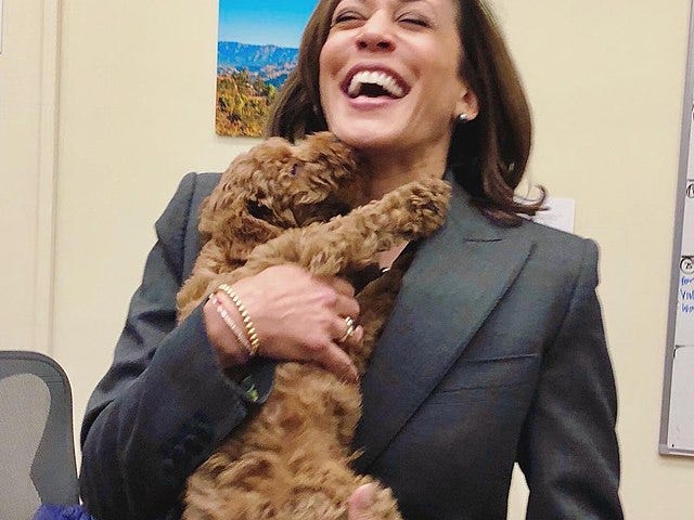 Kamala Harris