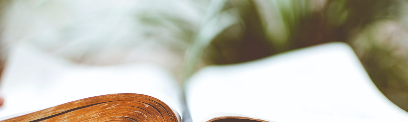 Open Bible on a desk. Old Testament.