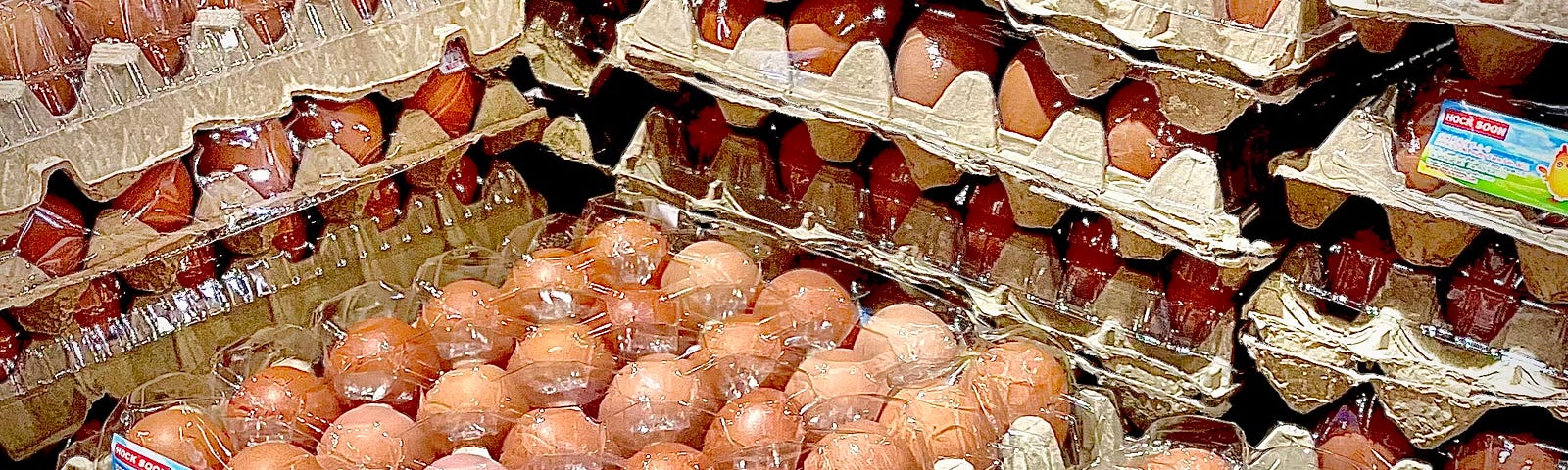 Cartons of eggs in a supermarket