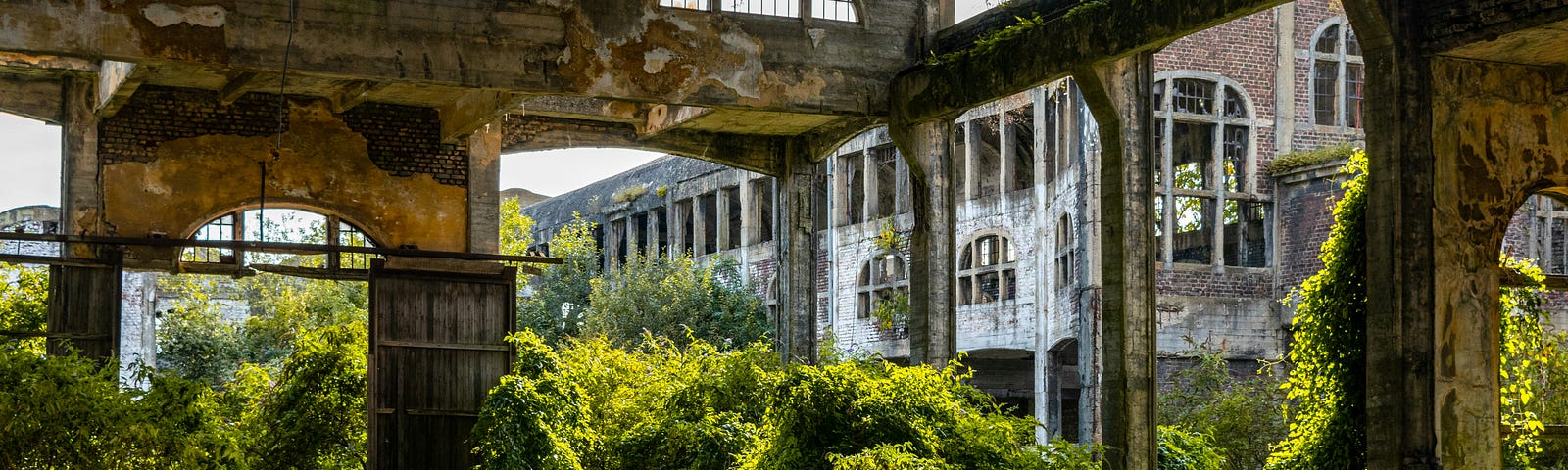 A crumbling abandoned building being reclaimed by nature.
